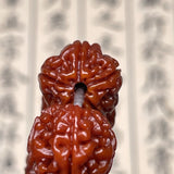 Serenemyst Nepal Vajra Bodhi Seed Buddha Beads Meditation Mala Bracelet