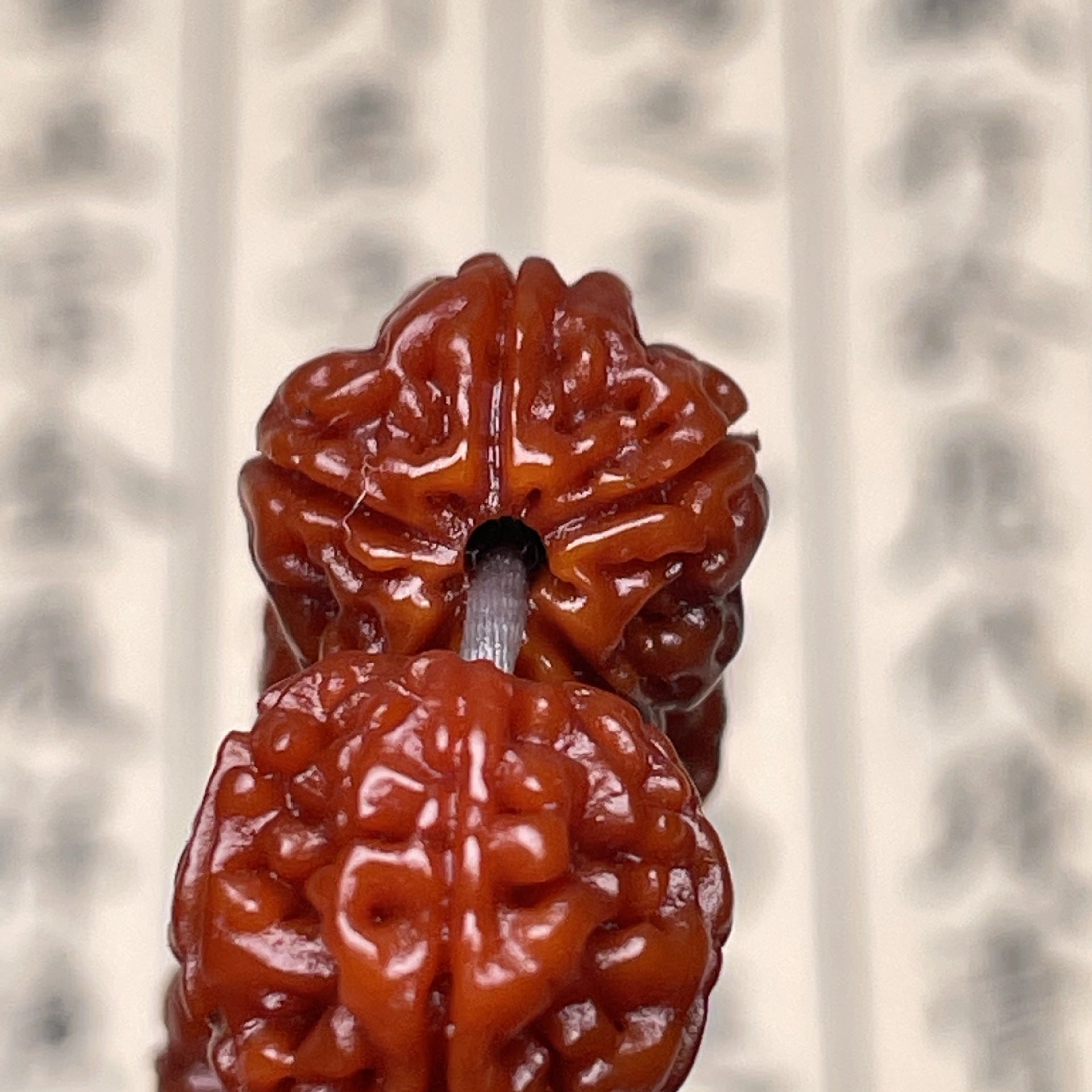 Serenemyst Nepal Vajra Bodhi Seed Buddha Beads Meditation Mala Bracelet